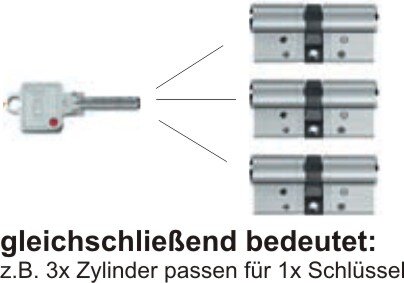 BKS Janus 46 - Doppel-Schließzylinder - CrNi - Doppelschließbart