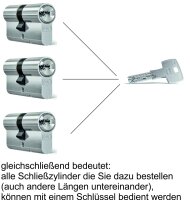 Schließzylinder Abus Bravus 2000 Doppelprofilzylinder 2-fach Schließbart für Biffar-Türen