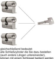 Schließzylinder Abus Bravus 2000 Doppelprofilzylinder 2-fach Schließbart für Biffar-Türen